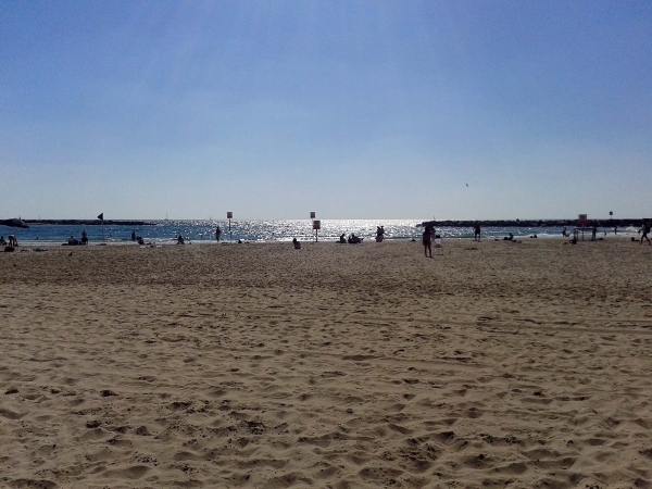 2013-08-06_16_20_13.jpg