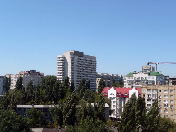 P1030661.jpg