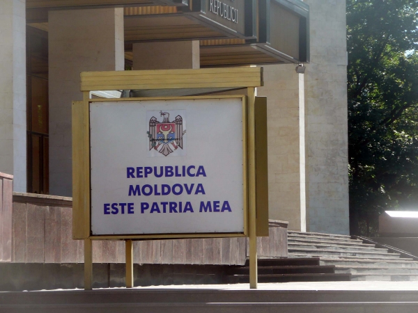 P1030675.jpg