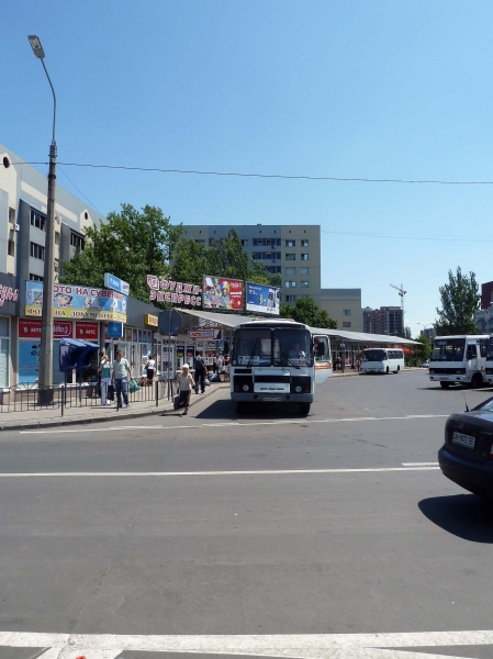 P1000923.jpg