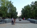 P1000910.jpg