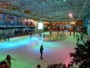 P1000935.jpg