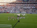 P1010009.jpg