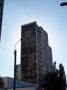 P1010088.jpg