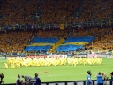 P1010226.jpg