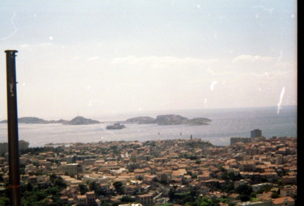 81.jpg