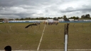 P1040334.jpg