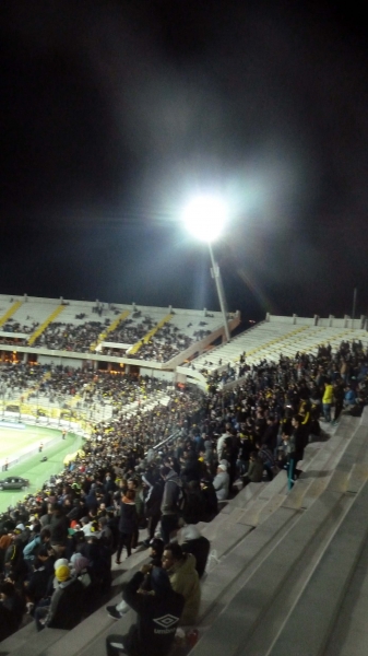 P1040633.jpg