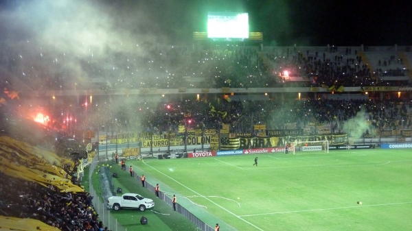 P1040647.jpg