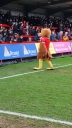 boxingday2023094.jpg