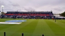 Tigre008.jpg