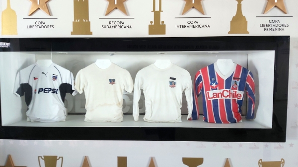 colocolo_005.jpg