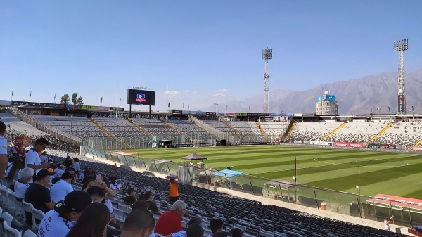 colocolo_009.jpg