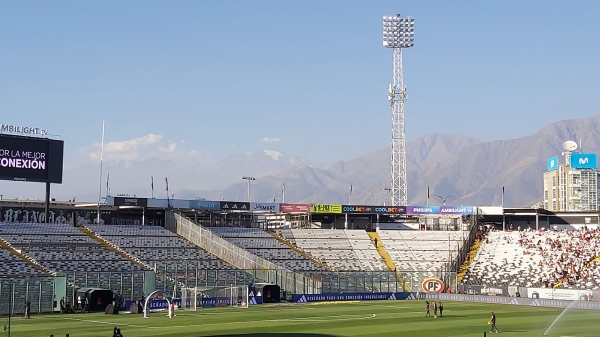 colocolo_016.jpg