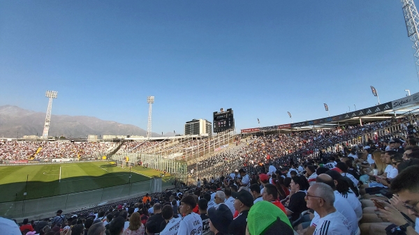 colocolo_017.jpg