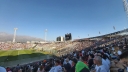 colocolo_017.jpg