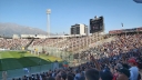 colocolo_020.jpg