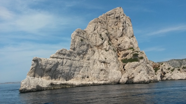 20160629_115157.jpg