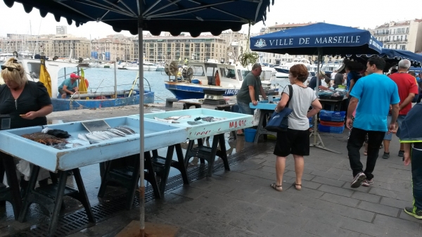 20160630_110814.jpg