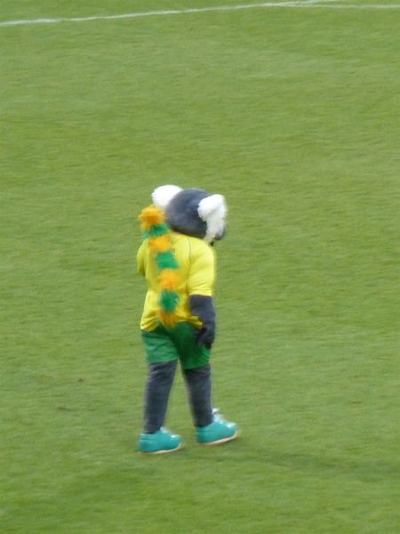 P1000094.jpg