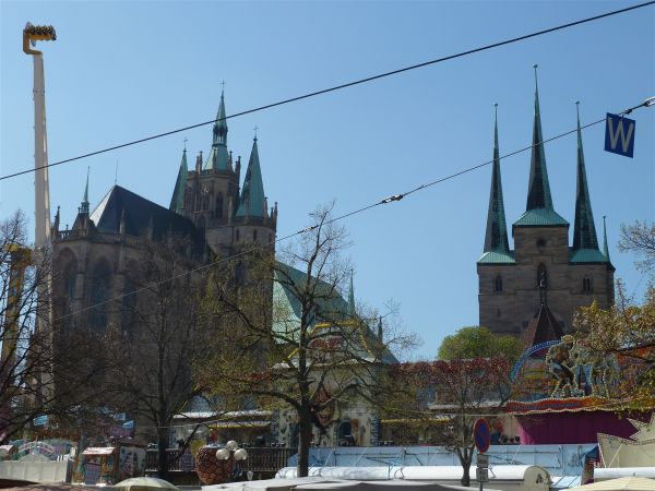P1000467.jpg
