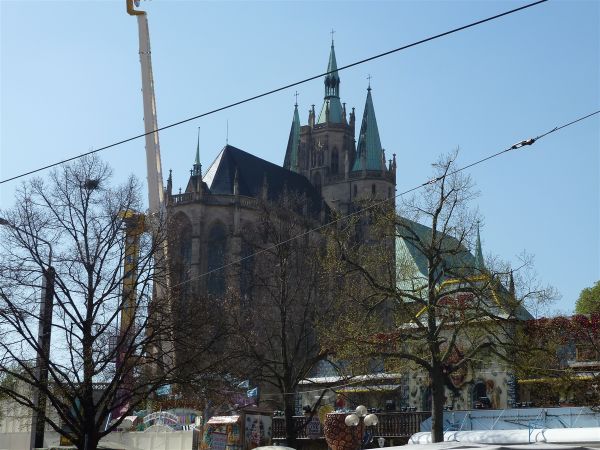 P1000468.jpg