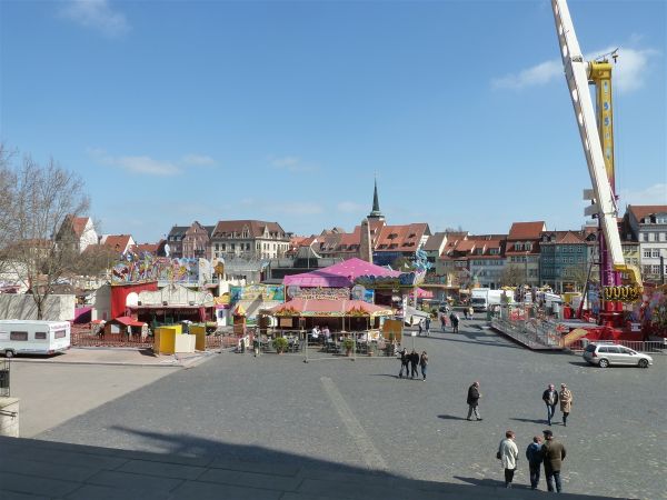 P1000469.jpg