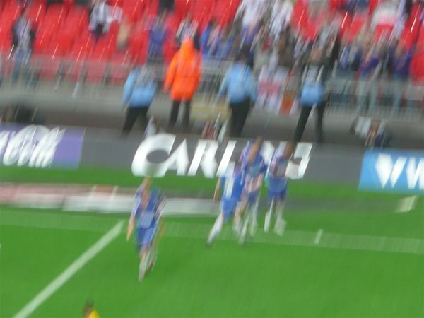 P1000554.jpg