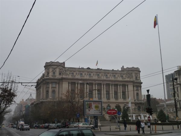 P1000669.jpg