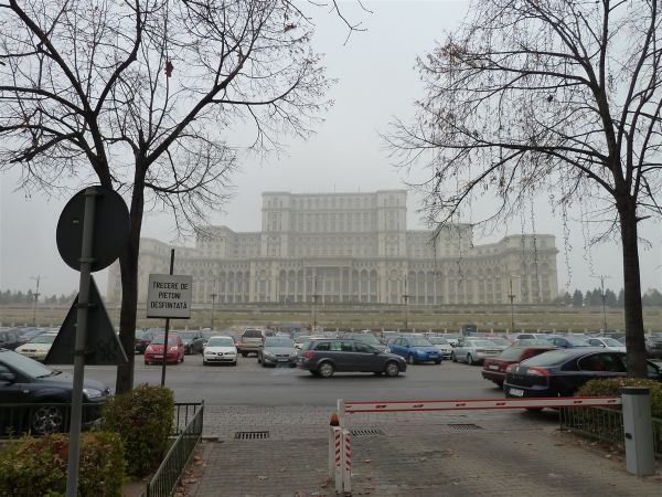 P1000674.jpg