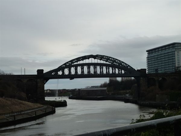 P1000855.jpg