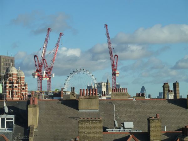 P1000881.jpg