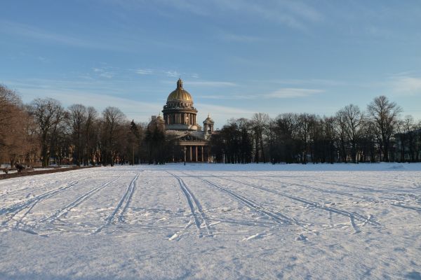 P1010954.jpg