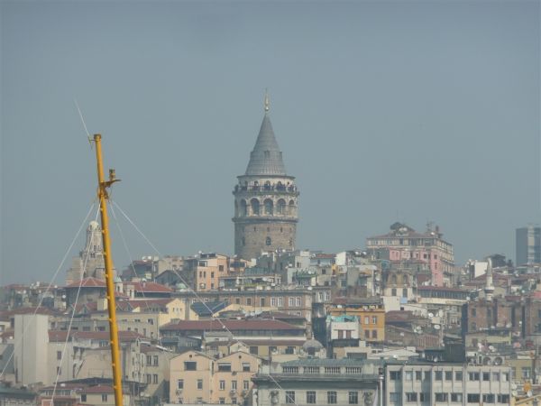 P1020176.jpg
