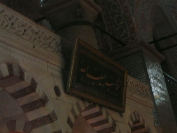 P1020191.jpg