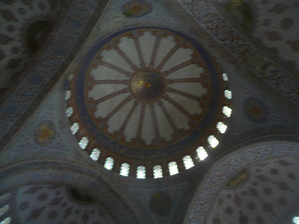 P1020192.jpg
