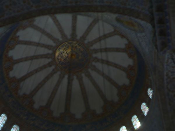 P1020197.jpg