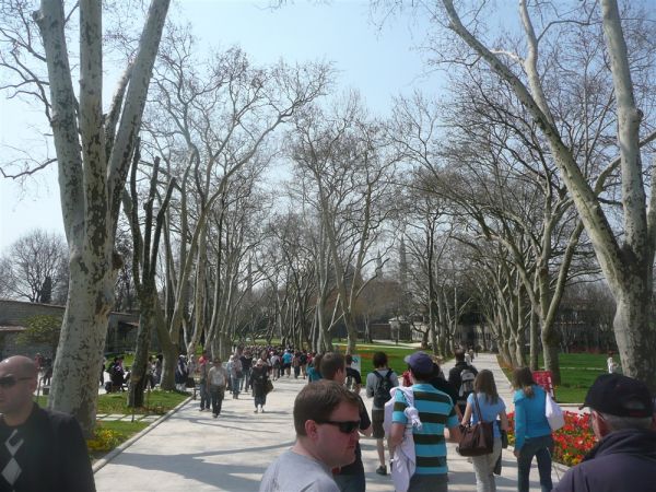 P1020203.jpg