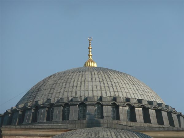 P1020241.jpg