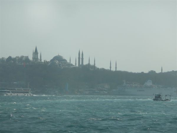 P1020301.jpg
