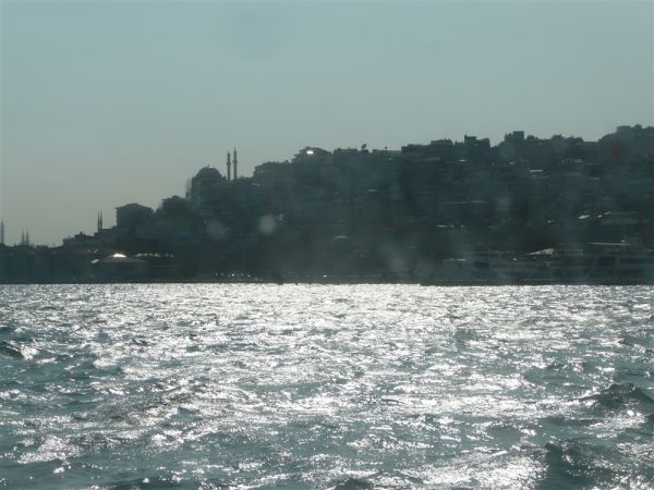 P1020302.jpg