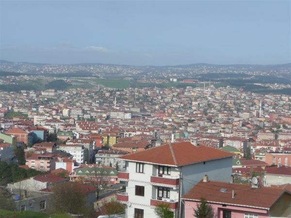 P1020303.jpg