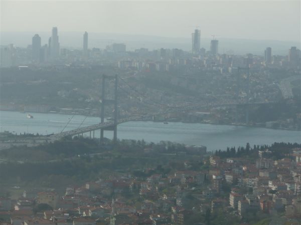 P1020307.jpg
