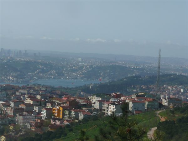 P1020309.jpg
