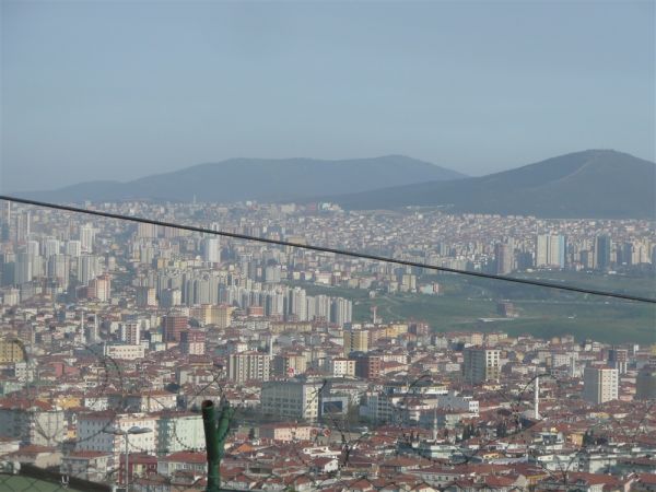 P1020311.jpg