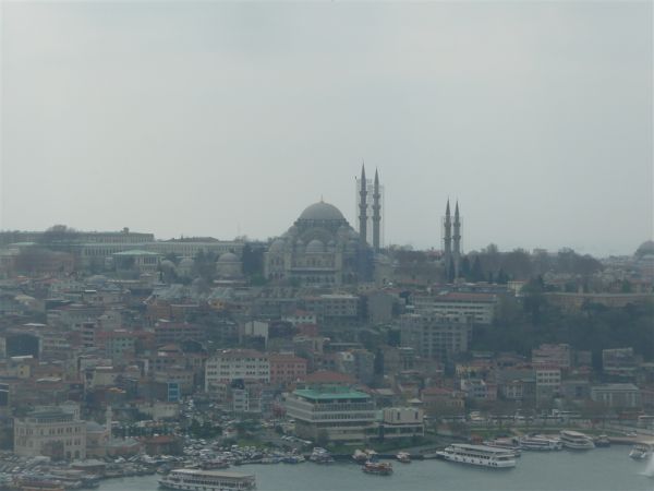 P1020343.jpg