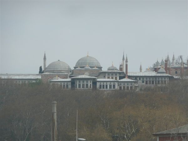 P1020348.jpg