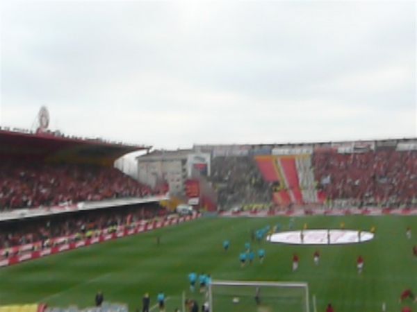 P1020361.jpg