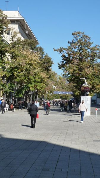 P1020597.jpg