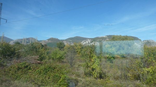 P1020645.jpg